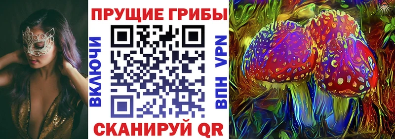 Псилоцибиновые грибы Cubensis  Купить где  Короча 